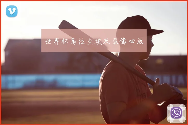 世界杯乌拉圭埃及录像回放