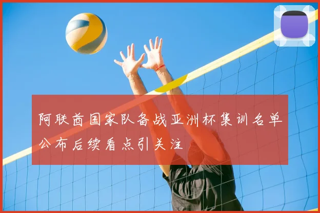 阿联酋国家队备战亚洲杯集训名单公布后续看点引关注