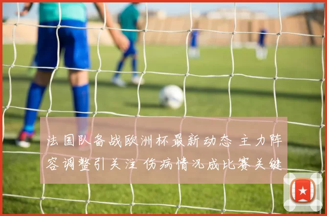 法国队备战欧洲杯最新动态 主力阵容调整引关注 伤病情况成比赛关键因素